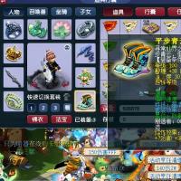 【双平台】时空之隙 平步青云 等级100耐久度301